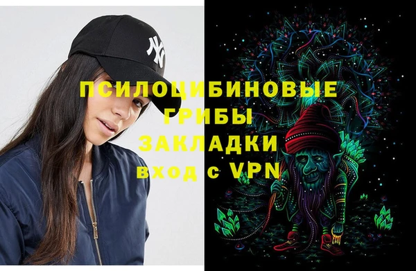 бошки Зерноград