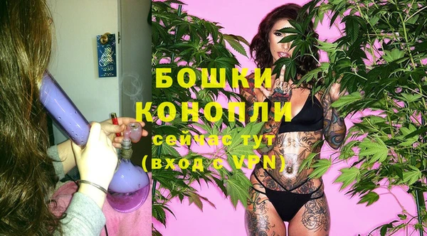 гидра Зеленодольск