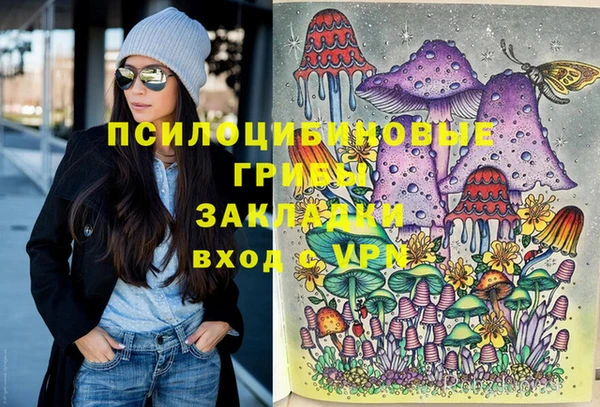 бошки Зерноград