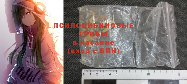 гидра Зеленодольск