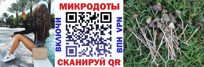 Купить где  Саяногорск  Галлюциногенные грибы Cubensis 